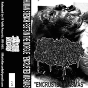 Encrusted Miasmas