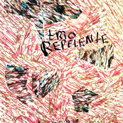 ao vivo pra ninguém