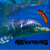 Nevemind