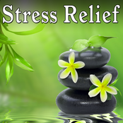 Stress Relief