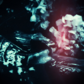 九章算術 (The Nine Chapters on the Mathematical Art)