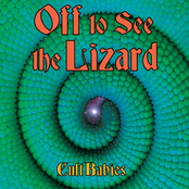 Off to See the Lizard