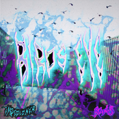 Birds Eye