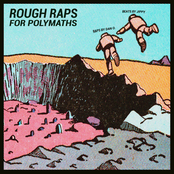 Rough Raps for Polymaths
