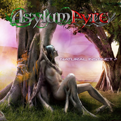 The Asylum Pyre by Asylum Pyre