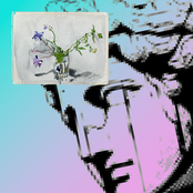 A Pastel, Floral Border