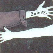 Bodies