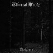 Thickthorn by Ethereal Woods