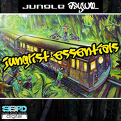 jungle asylum