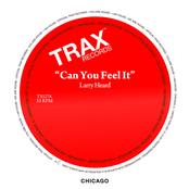 Larry Heard: Can You Feel It