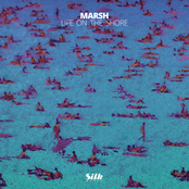 Marsh: Life On The Shore