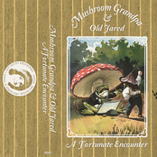 A Fortunate Encounter