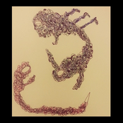 Sage In The Tall Hills