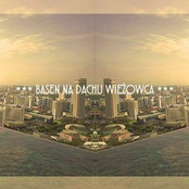 Basen na dachu wieżowca