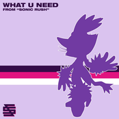 What U Need (From "Sonic Rush")