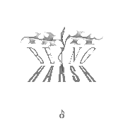 Being Harsh - Single