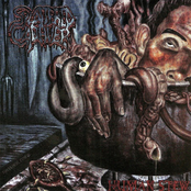 Splattered Cadaver by Splattered Cadaver