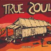 True Soul: Deep Sounds from the Left of Stax Vol. 1