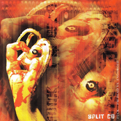 Fuck... I'm Dead Vs. Engorged