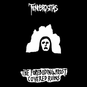 The Foreboding, Frost Covered Ruins