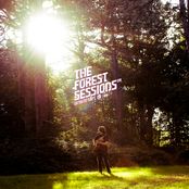 the forest sessions