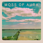 Stone by Moss Of Aura