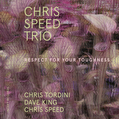 Chris Speed Trio: Respect for Your Toughness