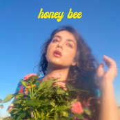 Honey Bee - Single