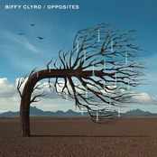 A Girl And His Cat by Biffy Clyro