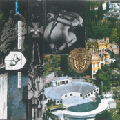 Natural Architecture