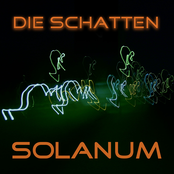 Solanum by Die Schatten