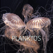 Planktos