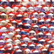 Space Between Our Teeth