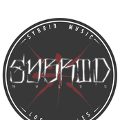 sybrid