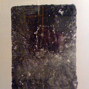 New York Performances