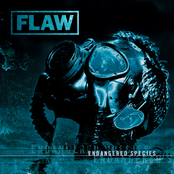 Recognize by Flaw