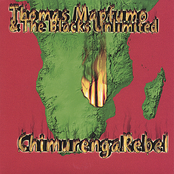 Vanoita Sevanokudai by Thomas Mapfumo And The Blacks Unlimited