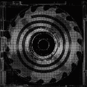 The Last Leaf Of A Shattered Mind