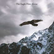 The Eagle Flies Alone