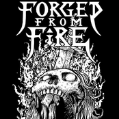 From the Ashes We Rise