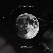 Moonlight - Single