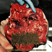 EMANATING CONSEQUENCES OF SURGICAL OBLITERATION