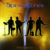 Nightsong by The Spongetones