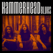 Hammerhead Blues - EP
