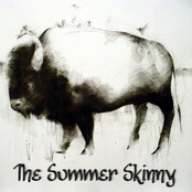 the summer skinny