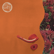 Shadowgraphs: Venomous Blossoms