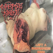 Left A Dismembered Mess