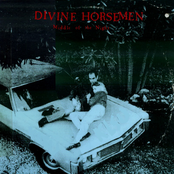 Field Of Stone by Divine Horsemen