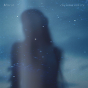 Mirror - Single