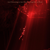 Am I Drowning or Am I Just Learning How to Swim